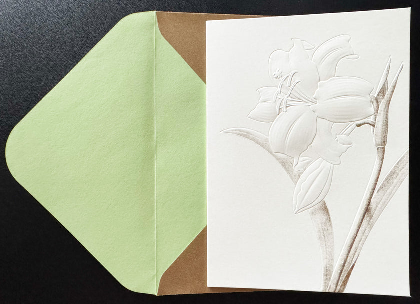 Greeting Card, White Flower Embossed - (Blank)