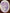 Artisan Soap Bar - Fresh Lavender (Basique), Oval